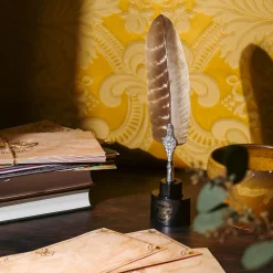 Harry Potter - Veerpen met Hogwarts briefpapier set