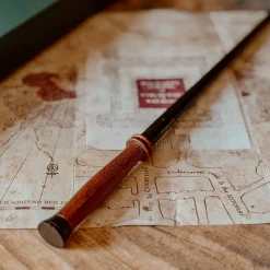 Harry's Eerste Toverstaf - Harry Potter First Wands Collection