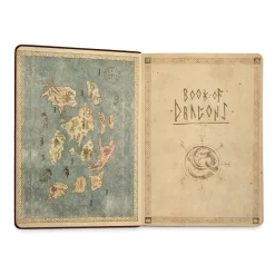 Hoe tem je een draak - Draak Notitieboek