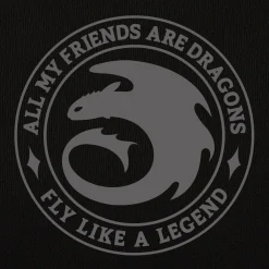 Hoe Tem Je Een Draak - Night Fury Legend Hoodie zwart