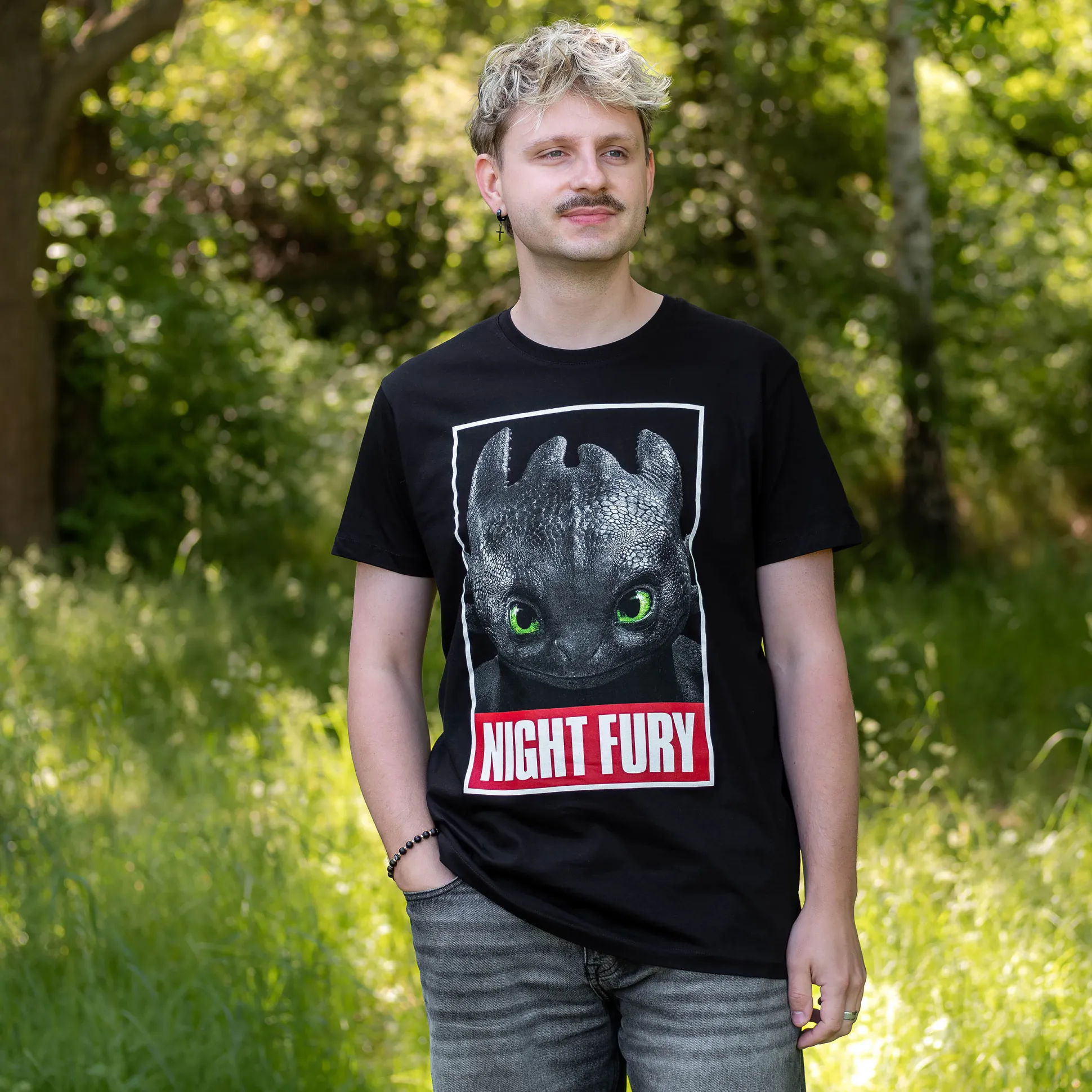 Hoe Tem Je Een Draak - Night Fury Poster T-Shirt Zwart