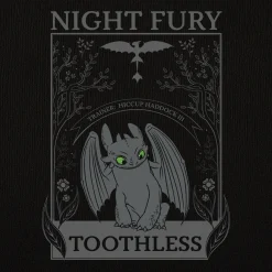 Hoe Tem Je Een Draak - Night Fury Dames T-Shirt Zwart
