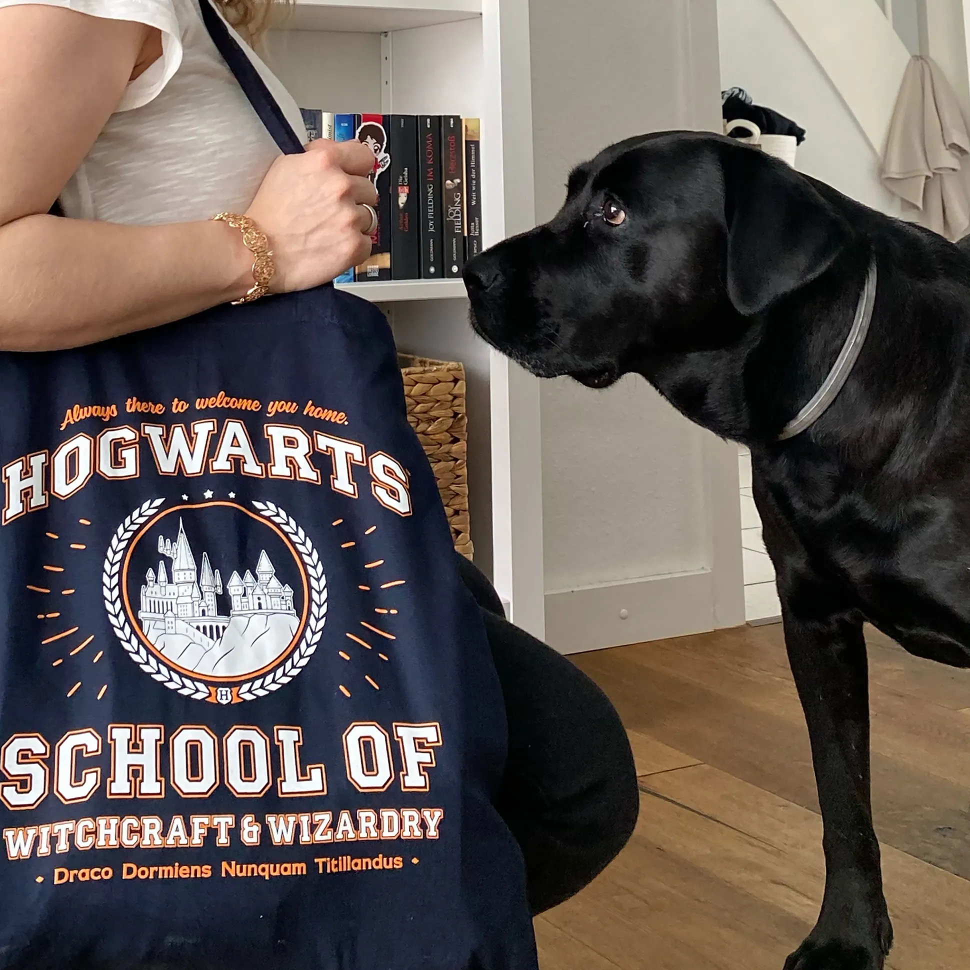 Hogwarts School Jute Tas Blauw - Harry Potter