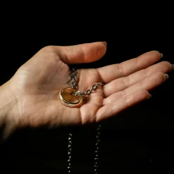 In de Ban van de Ring - De Ene Ring - Het Origineel