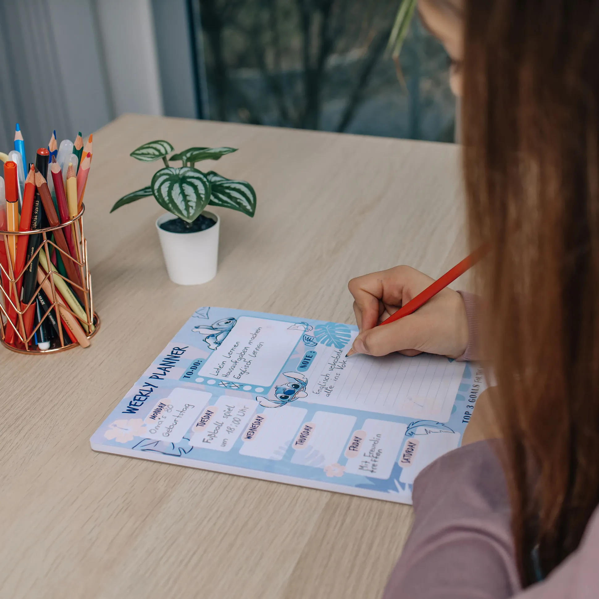 Lilo & Stitch - Weekplanner