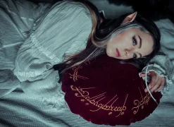 Lord of the Rings - Het ene kussen