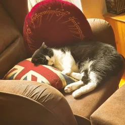 Lord of the Rings - Het ene kussen