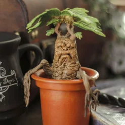 Mandragora - Harry Potter Magische Wezens Figuur