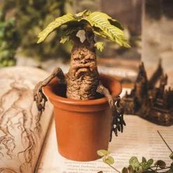 Mandragora - Harry Potter Magische Wezens Figuur