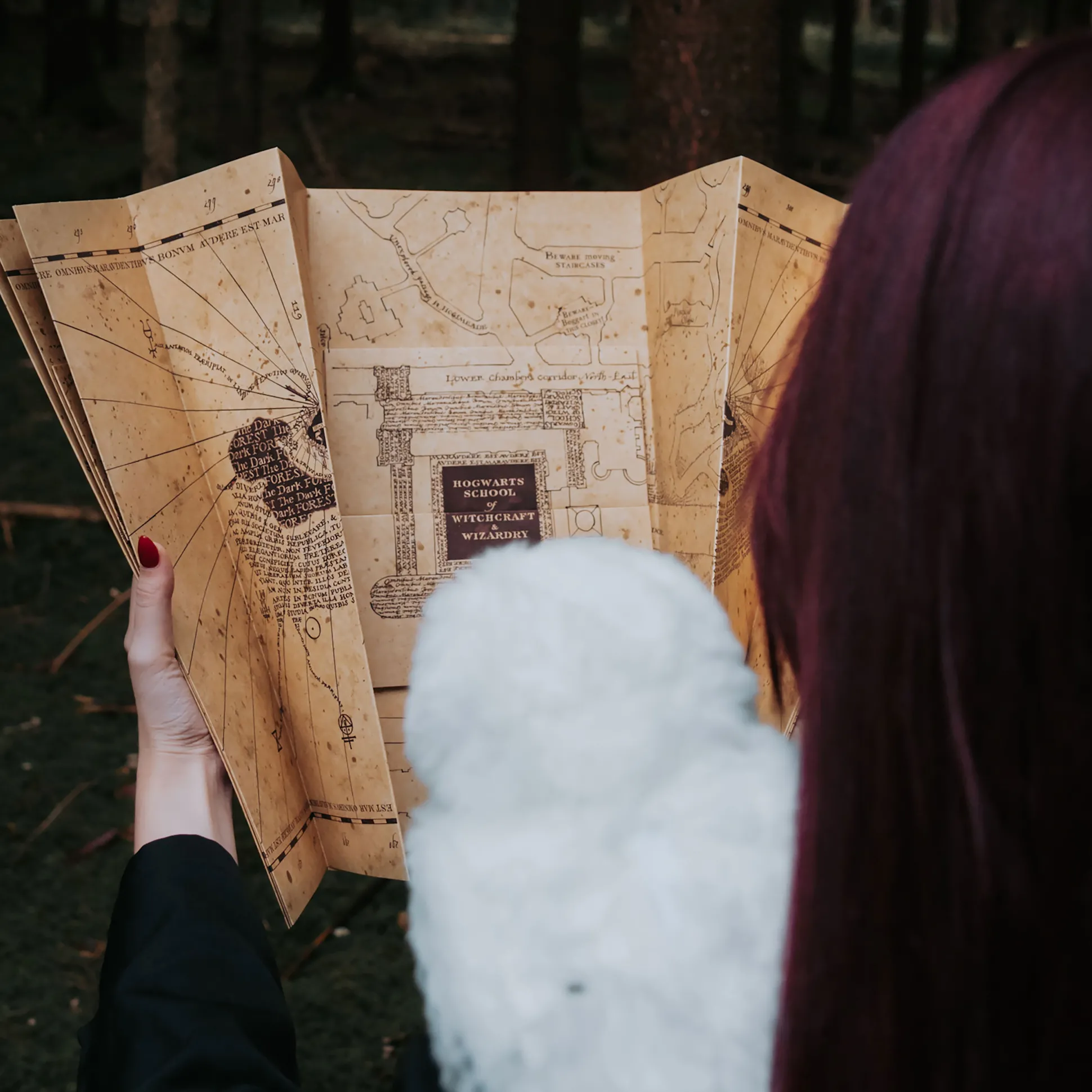 Marauder's Map - Harry Potter