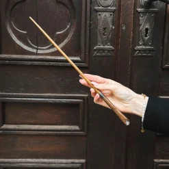 Newt Scamander Toverstaf in Blister - Fantastische Beesten