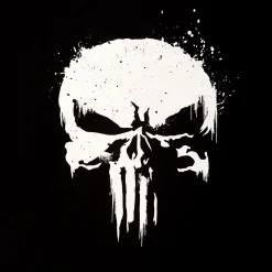 Punisher - Skull Logo T-Shirt met mouwprint zwart