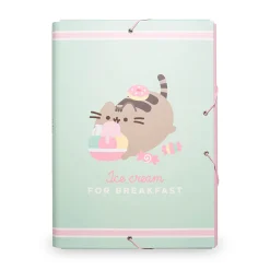 Pusheen - Ice cream Documentmap