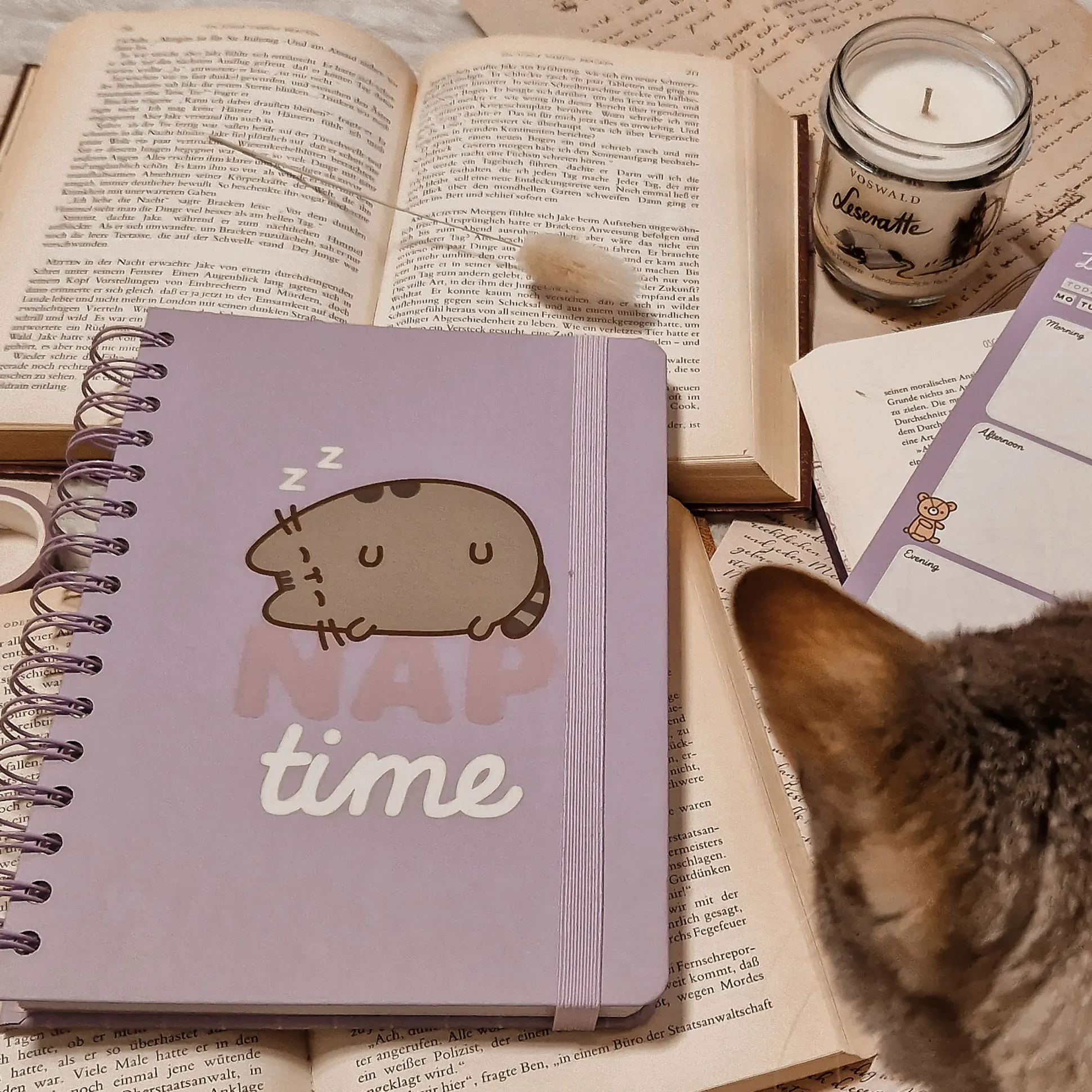 Pusheen - Nap Time Notitieboek