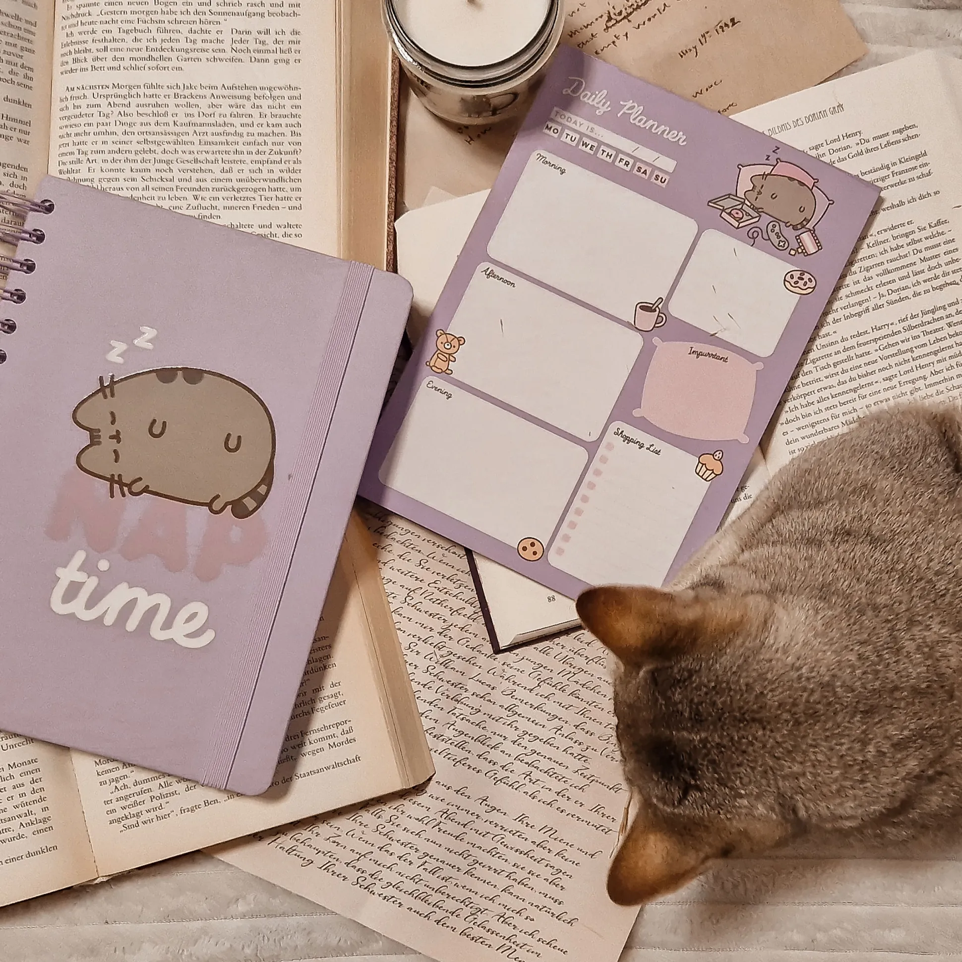 Pusheen - Nap Time Notitieboek