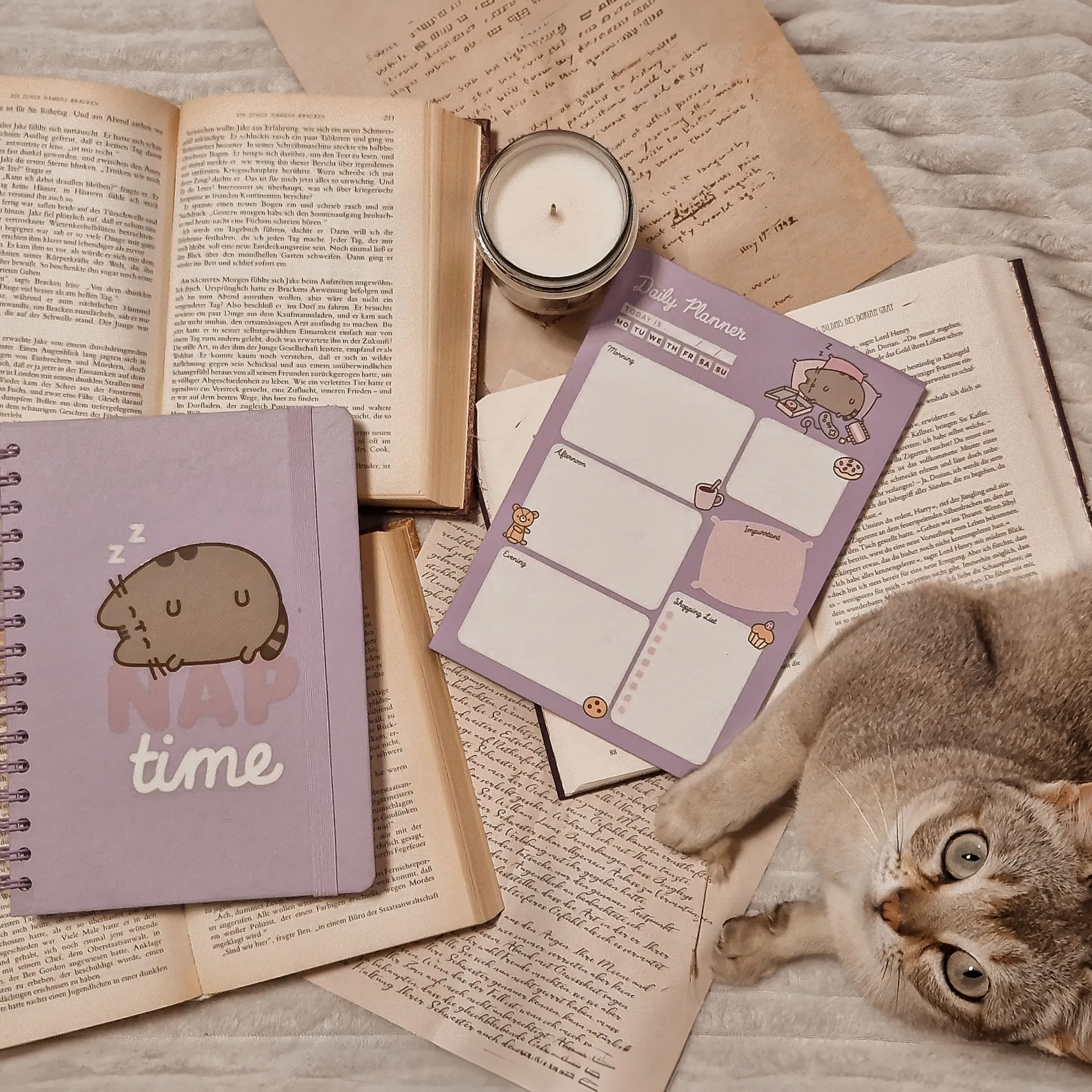 Pusheen - Slaap Dagplanner