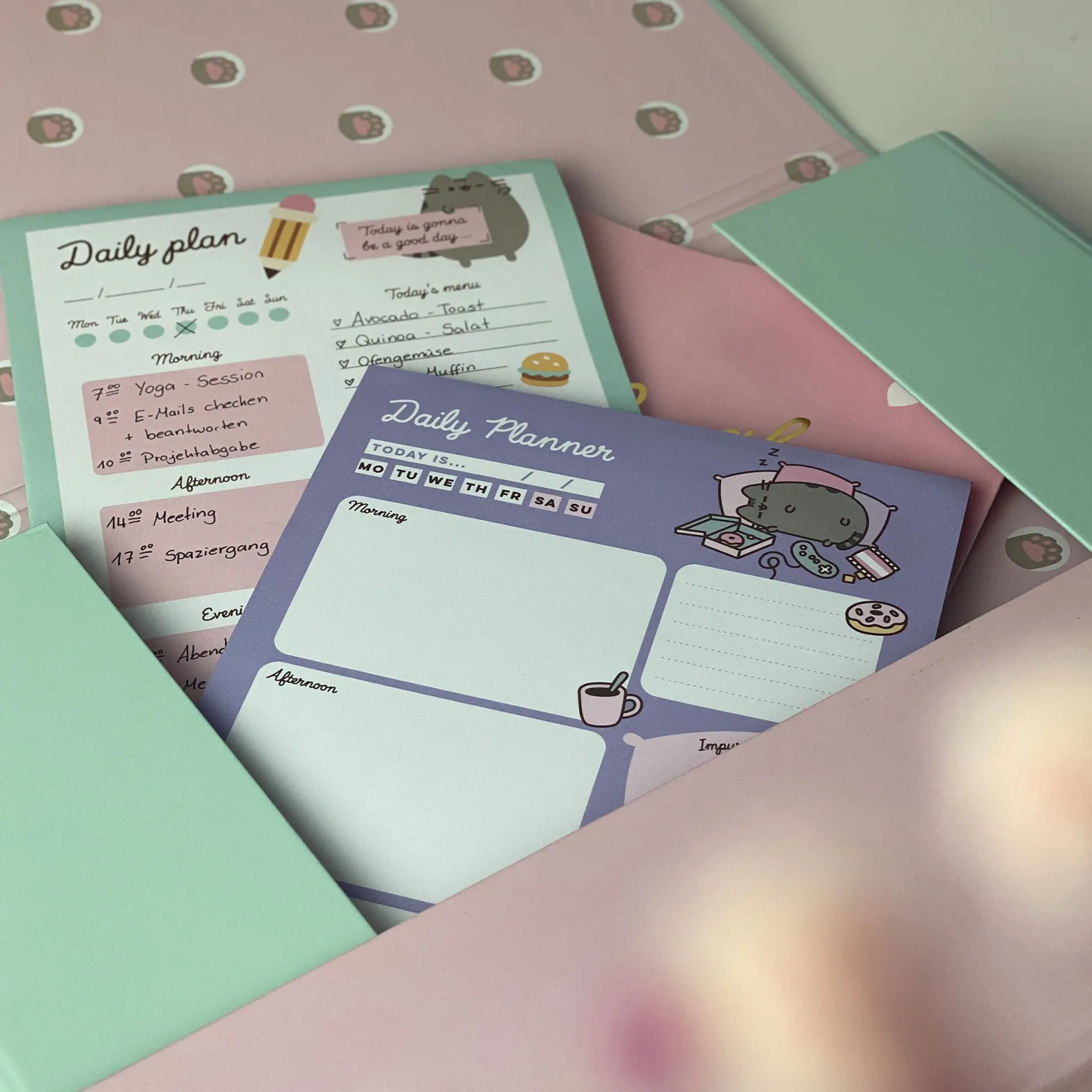 Pusheen - Slaap Dagplanner