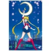 Sailor Moon - Personages Maxi Poster