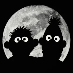 Sesamstraat - Ernie & Bert Moonnight T-shirt zwart