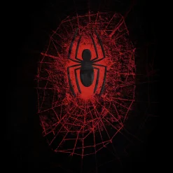 Spider-Man - Spider Web T-shirt zwart