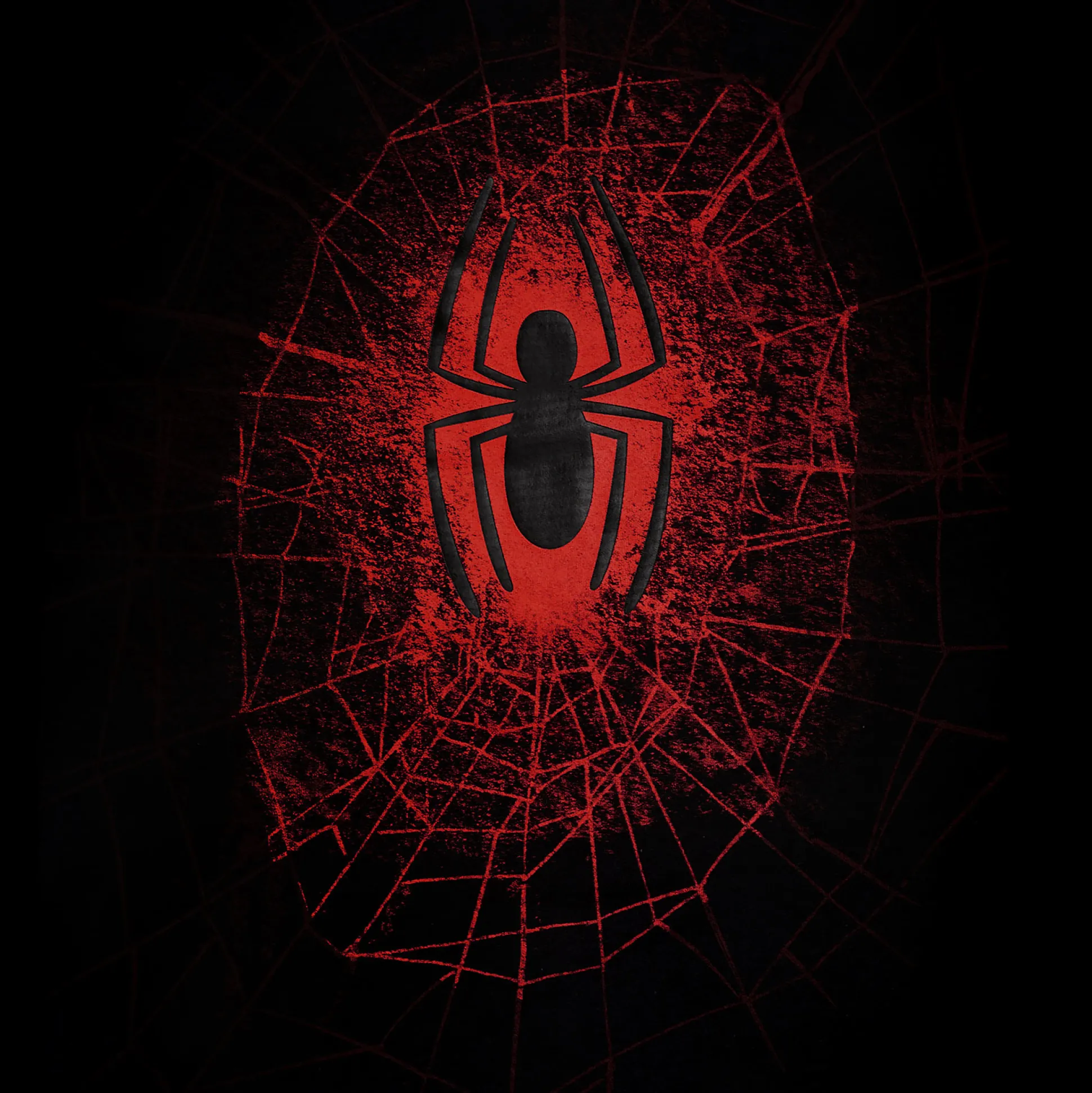 Spider-Man - Spider Web T-shirt zwart