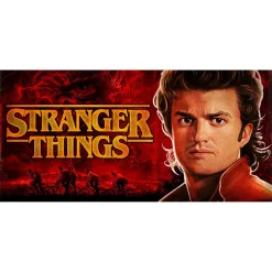 Steve Mok - Stranger Things Final Season