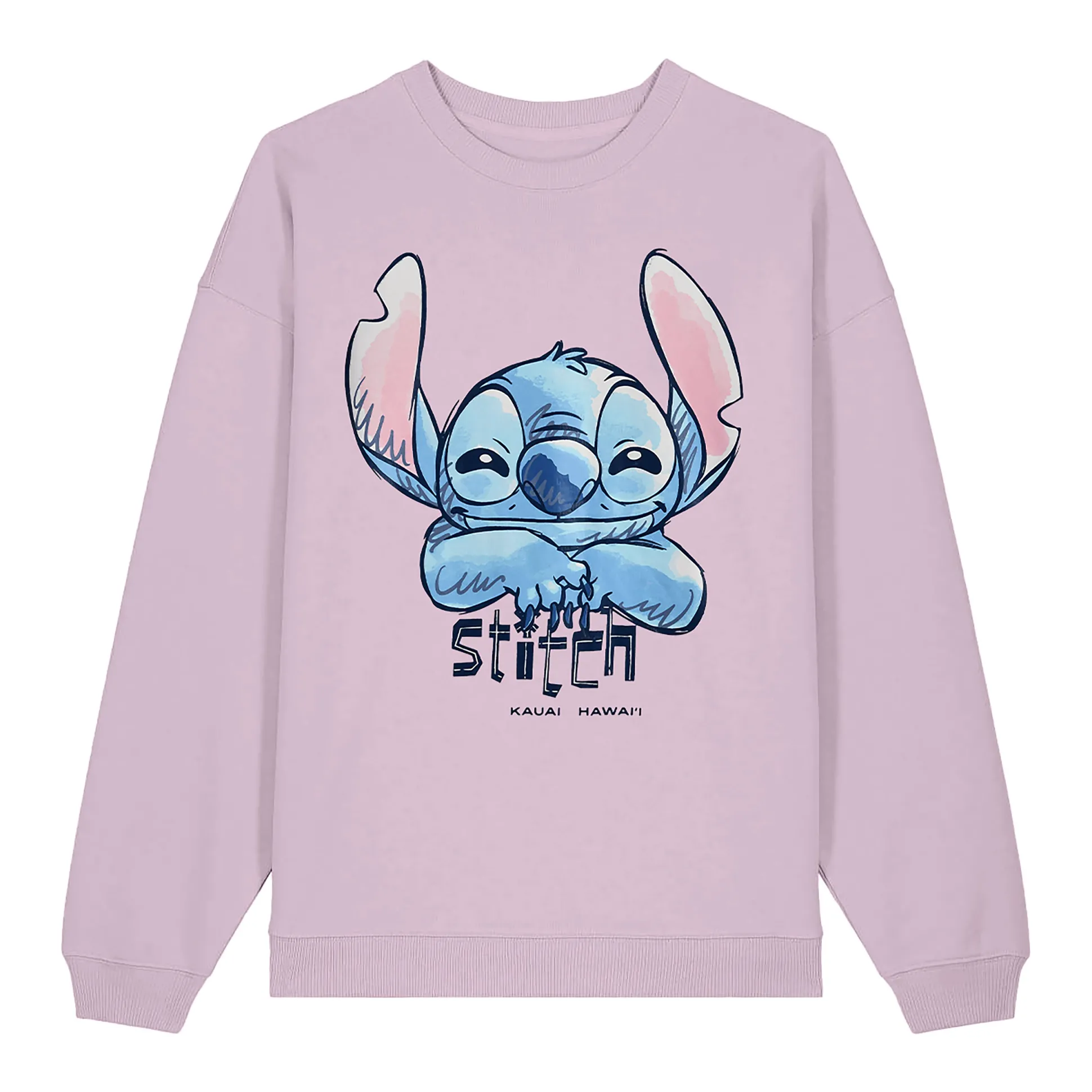 Stitch Kauai Hawaii Sweater - Lilo & Stitch