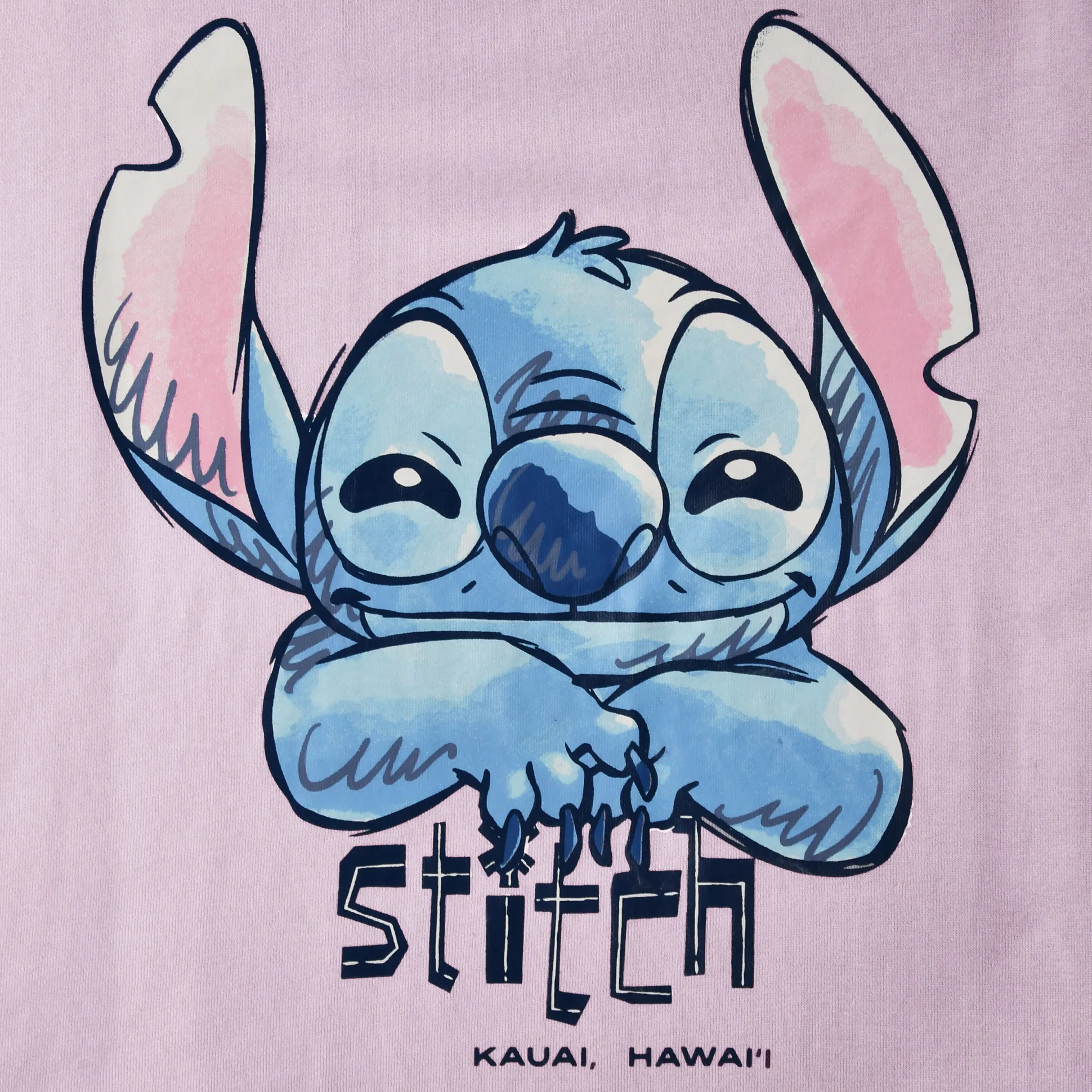 Stitch Kauai Hawaii Sweater - Lilo & Stitch