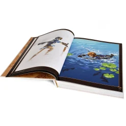 The Legend of Zelda - Breath of the Wild Kunstboek