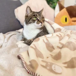 Totoro - Silhouet knuffeldeken met teddyvoering