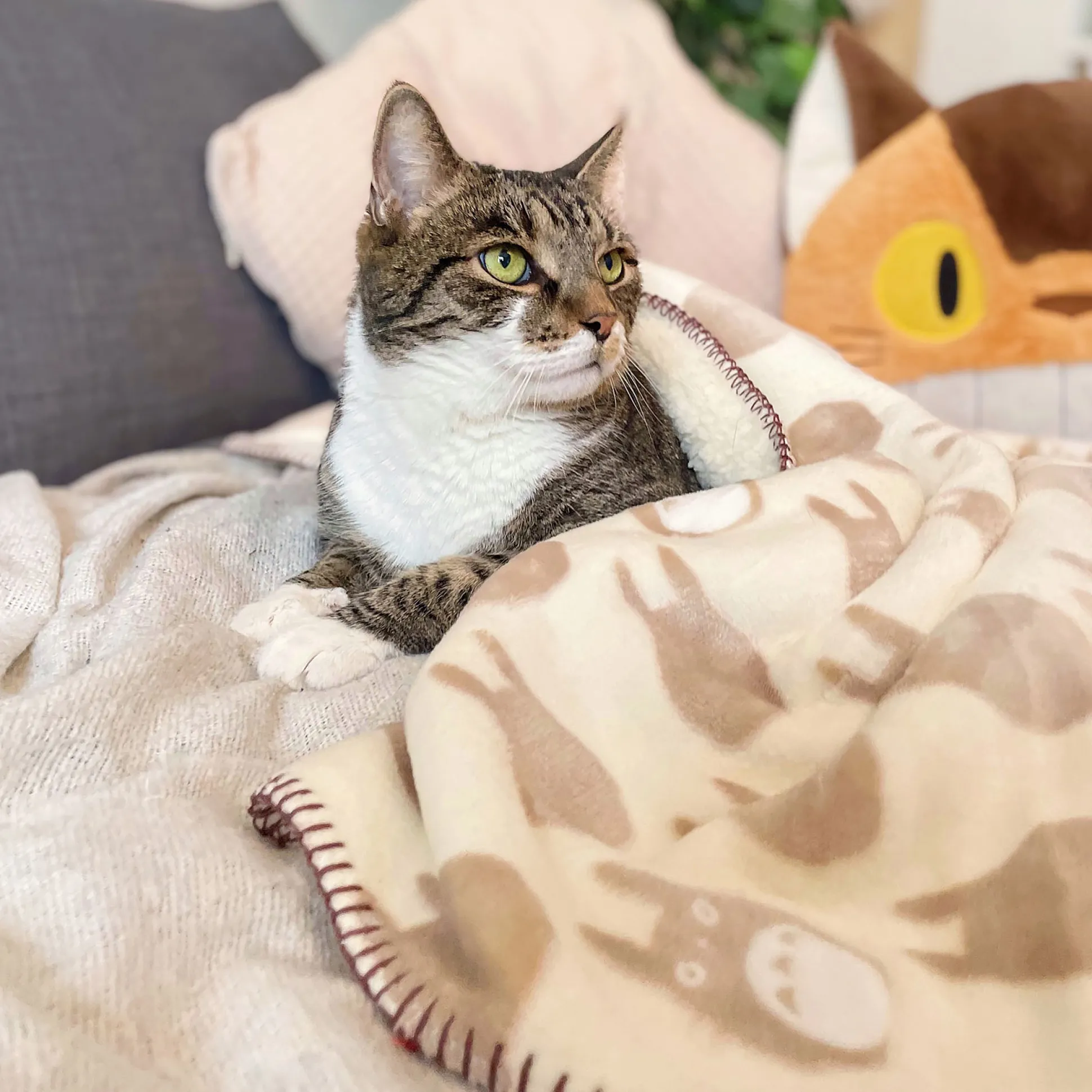 Totoro - Silhouet knuffeldeken met teddyvoering