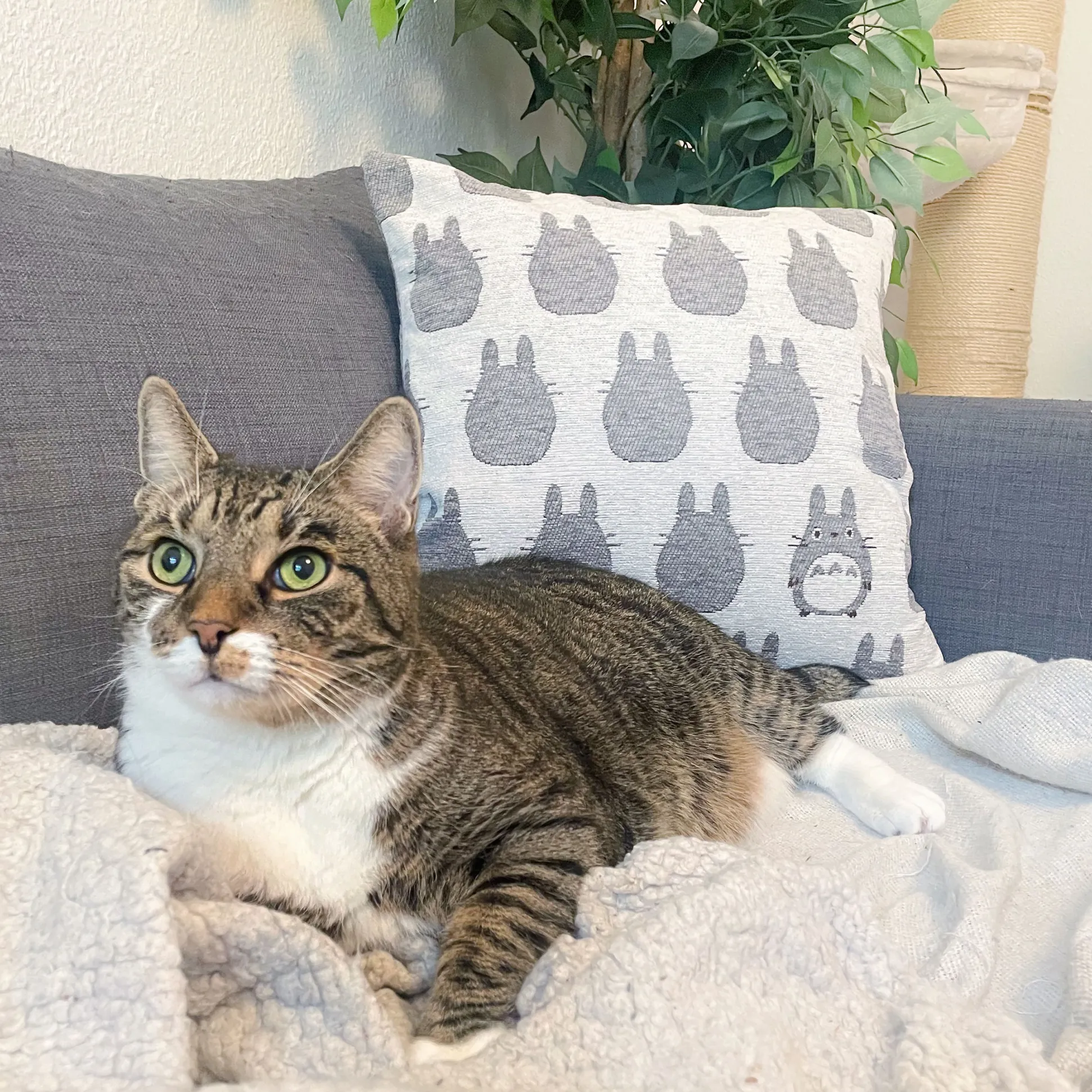 Totoro - Silhouet Totoro Kussen