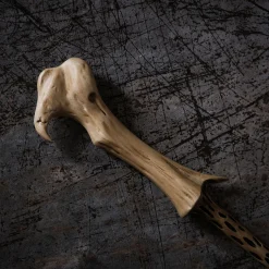 Toverstok van Heer Voldemort