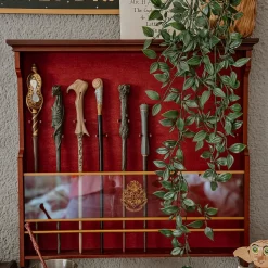 Wandhouder voor Karakter Toverstok Collectie