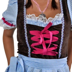 Wiesn Dirndl