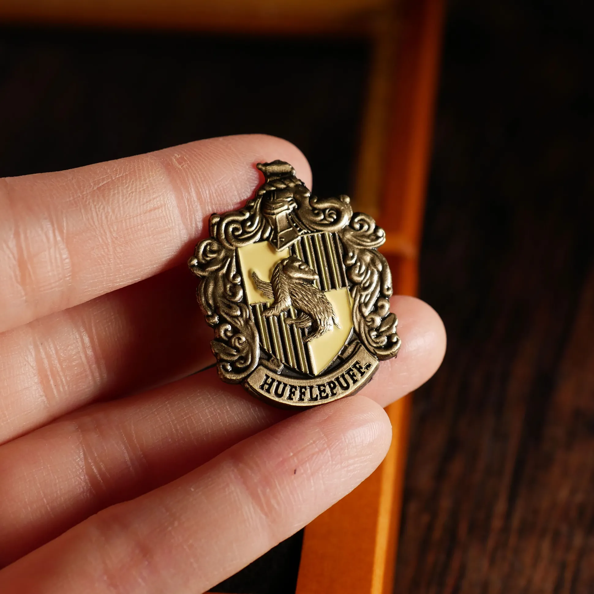 Zweinstein Huizen - Pins